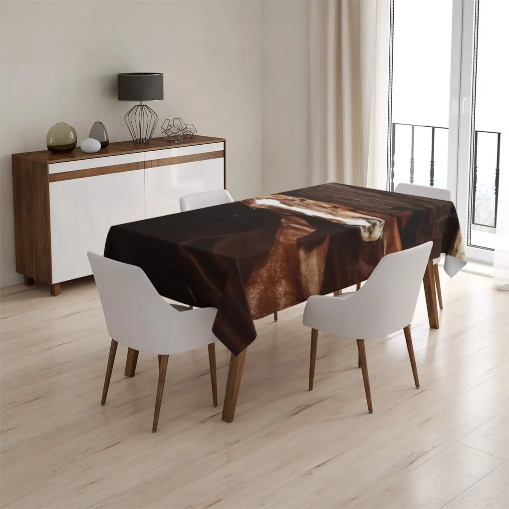 Sablio Obrus Kôň v stajni - 130x130 cm