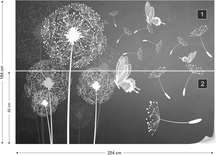GLIX Fototapeta - Modern Dandelions And Butterflies Grey And White Vliesová tapeta  - 254x184 cm