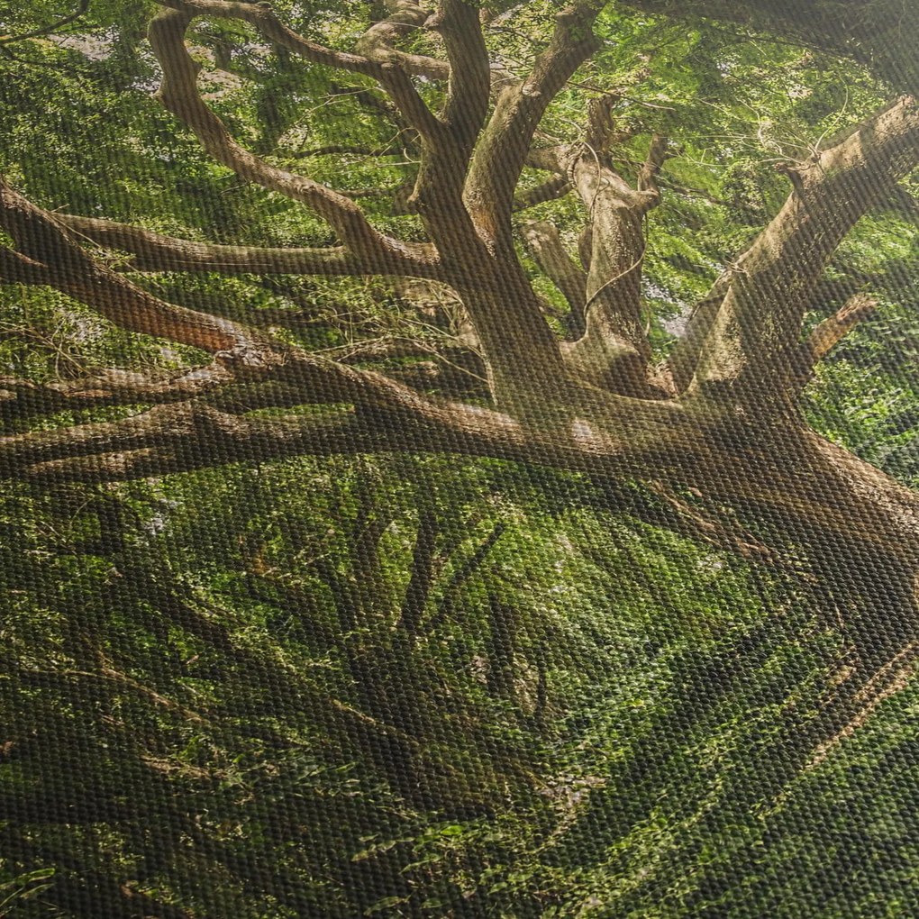 Obraz stromov (120x50 cm)