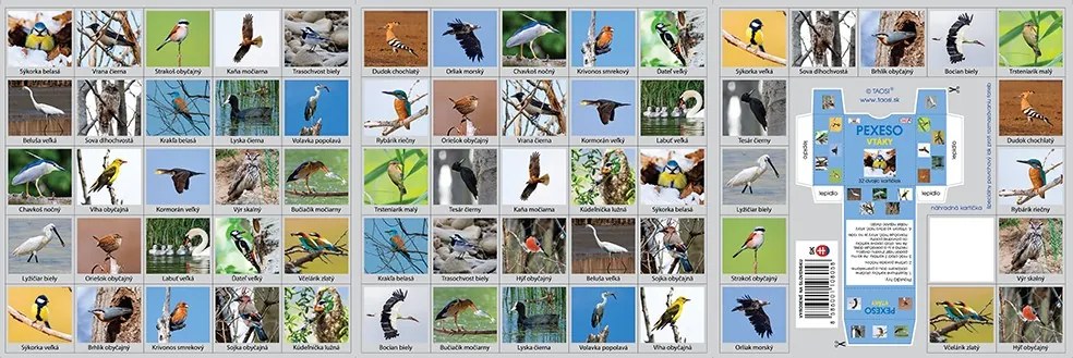 PEXESO VTÁKY