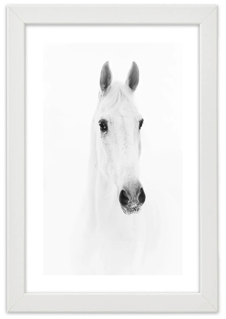 Gario Plagát Sivý kôň Farba rámu: Bez rámu, Rozmery: 70 x 100 cm