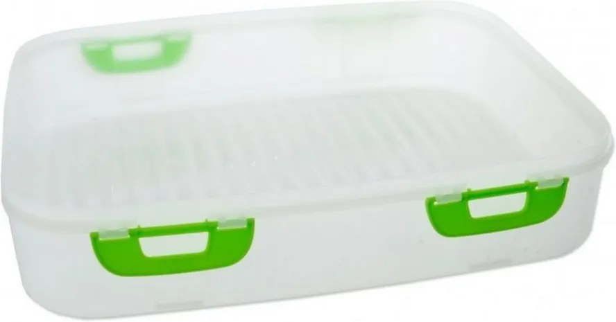 Orion Plastový box na piknik s klipmi 40 x 30 x 8 cm