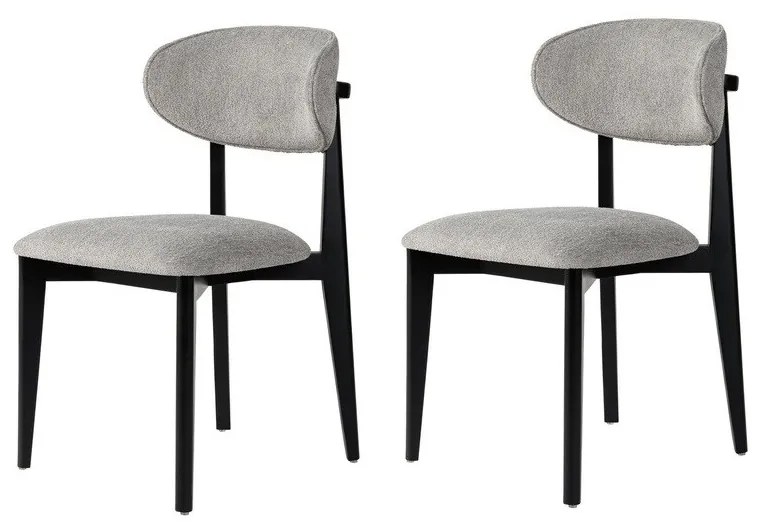 Súprava jedálenských stoličiek Lionte Grey and Black, 2 ks