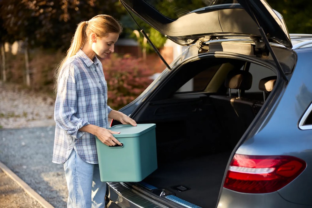 Rotho Úložný box, rovný s víkom, 27l, matná zelená ALBU LIGHT, 37x29x30