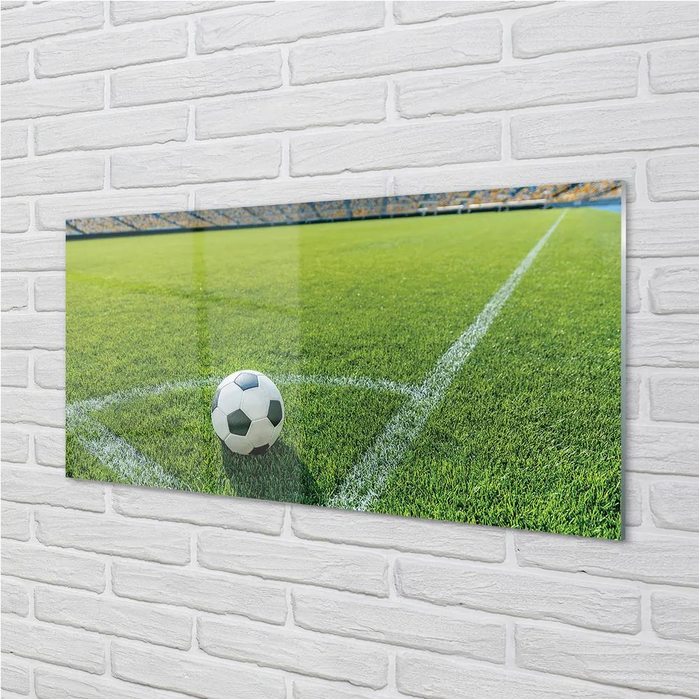 Sklenený obklad do kuchyne Futbalový štadión trávy 125x50 cm