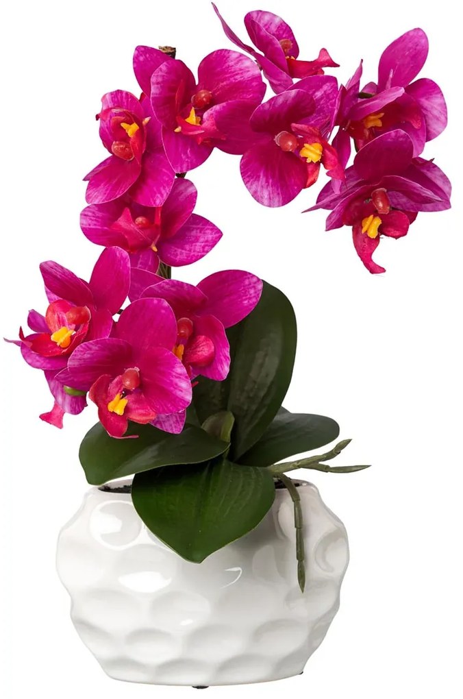 Gasper Orchidea v keramickom kvetináči, fialová, 33 cm