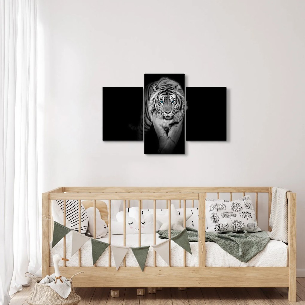 Obraz - Tiger s modrými očami (90x60 cm)
