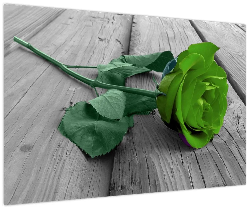 Obraz - Zelená ruža (90x60 cm)