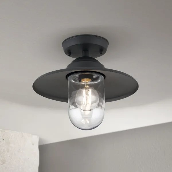 Orion AL 11-1317 - Vonkajšie prisadené svietidlo EDWARD 1xE27/60W/230V IP44 antracit