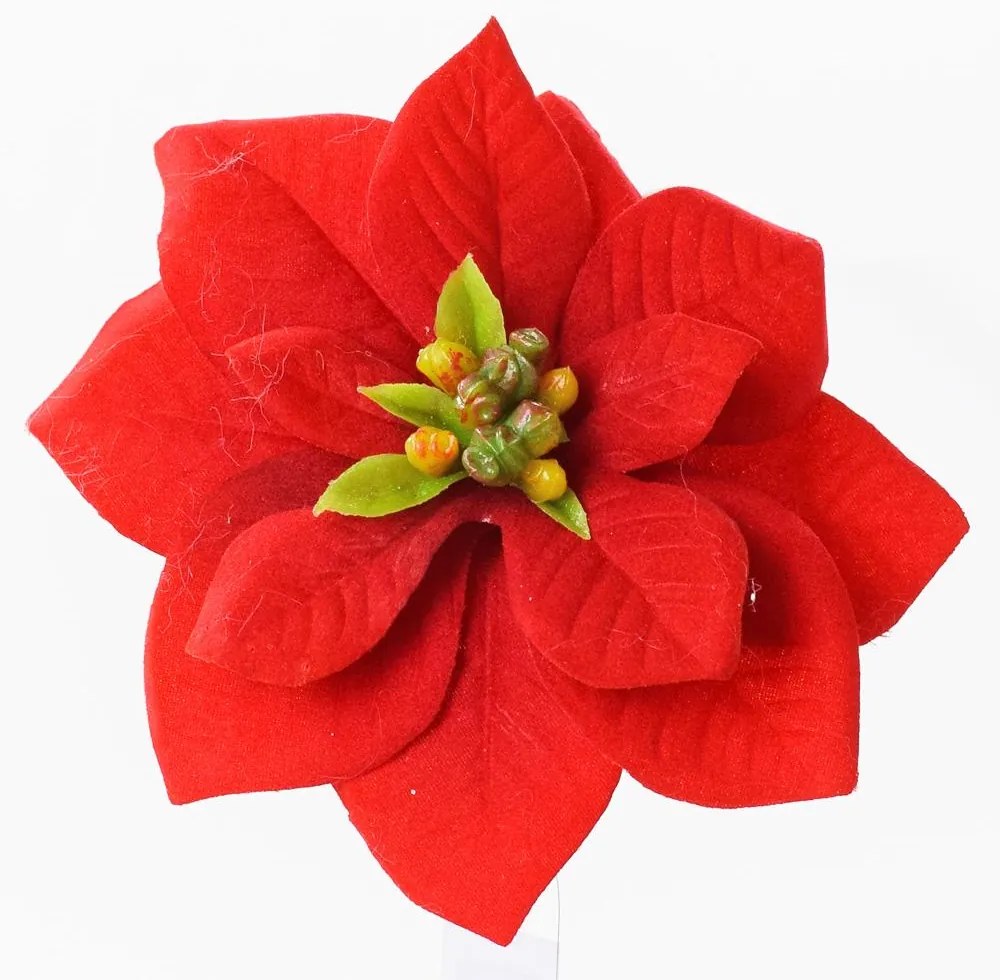 POINSETTIA ČERVENÁ KLIP 11CM