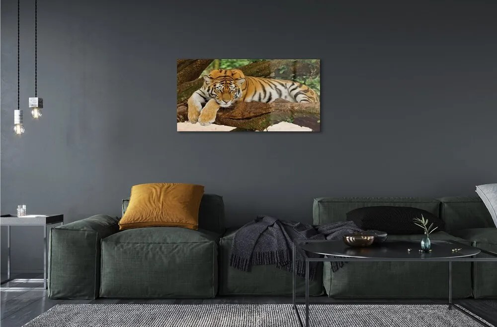 Sklenený obraz tiger tree 100x50 cm