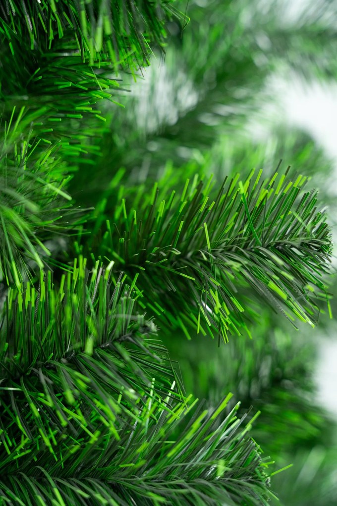 Limpol Smrek Tomek 2,40 m