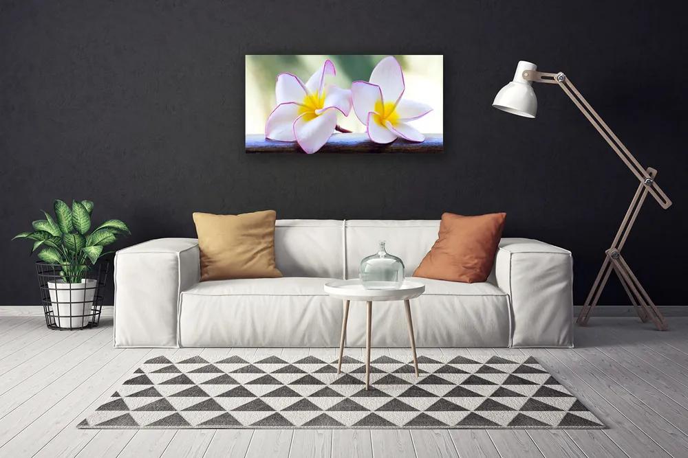 Obraz Canvas Kvety plátky plumérie 140x70 cm