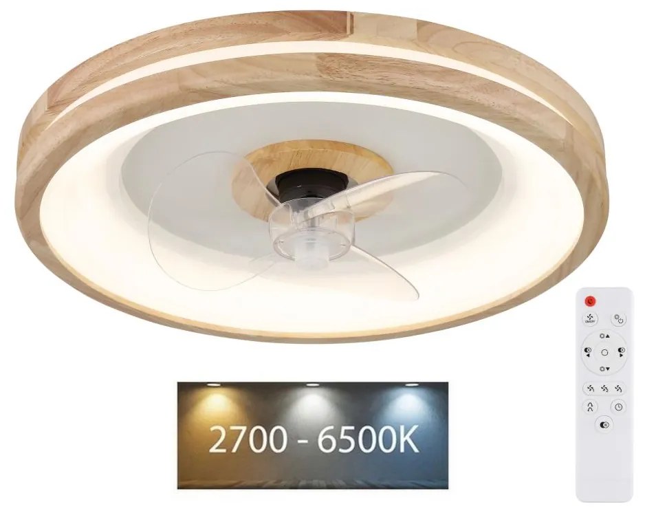 Globo 03650