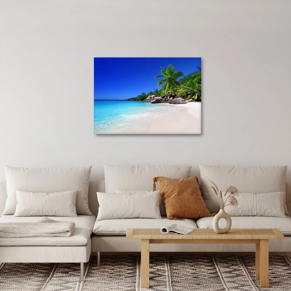 Obraz pláže na Praslin ostrove (70x50 cm)