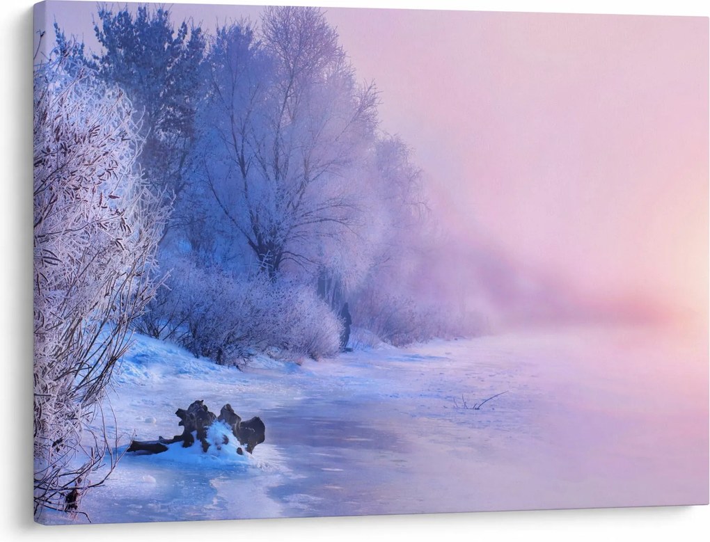 Obraz - Zamrznutá rieka (70x50 cm)