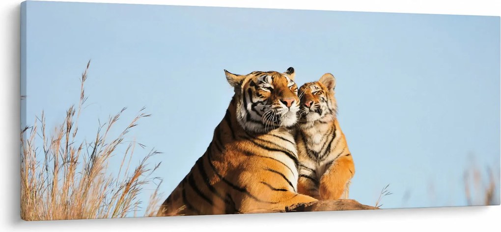 Obraz - Tigrice a jej mláďa (120x50 cm)