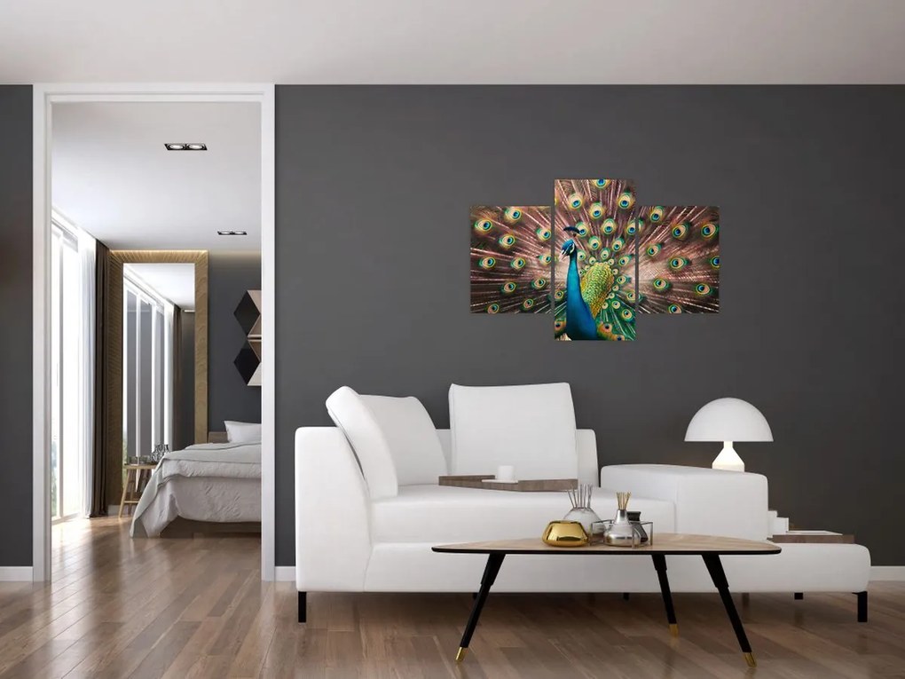 Obraz - Páv (90x60 cm)