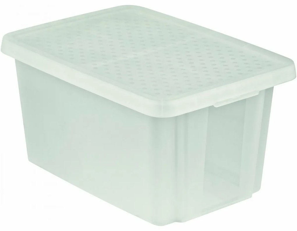 Curver Úložný box Essentials s vekom 45 l, číra, 45 l