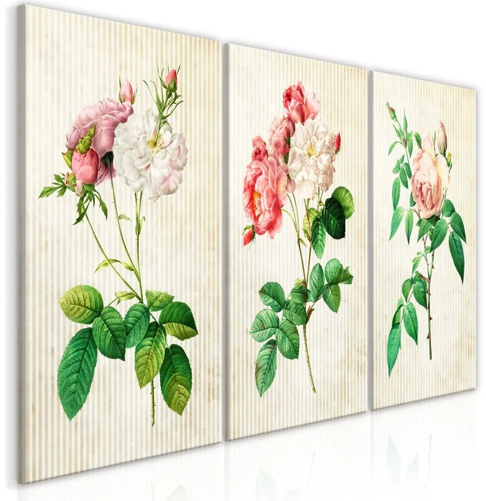 Obraz - Kvetinové trio (kolekcia) 60x30