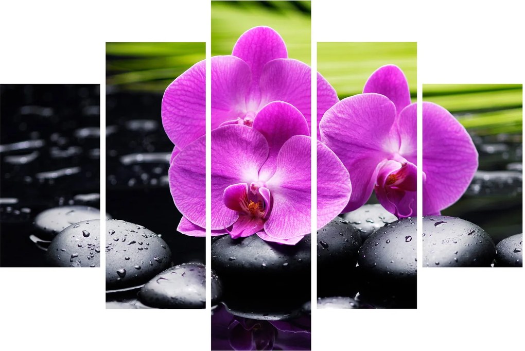 Obraz - Orchidey (150x105 cm)