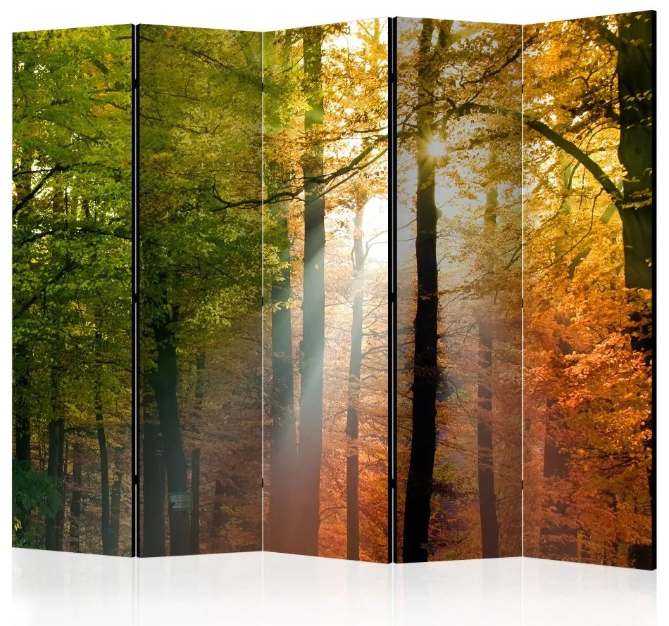 Artgeist Paraván - Forest Colours [Room Dividers]