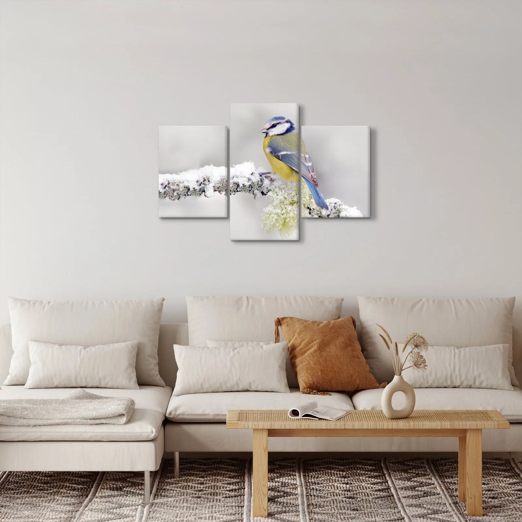 Obraz - Sýkorka (90x60 cm)