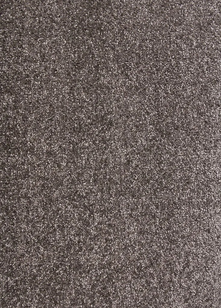 Koberce Breno Metrážny koberec OMNIA 42, šíře role 400 cm, hnedá