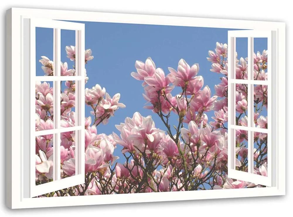 Gario Obraz na plátne Kvitnúca magnólia za oknom Rozmery: 60 x 40 cm
