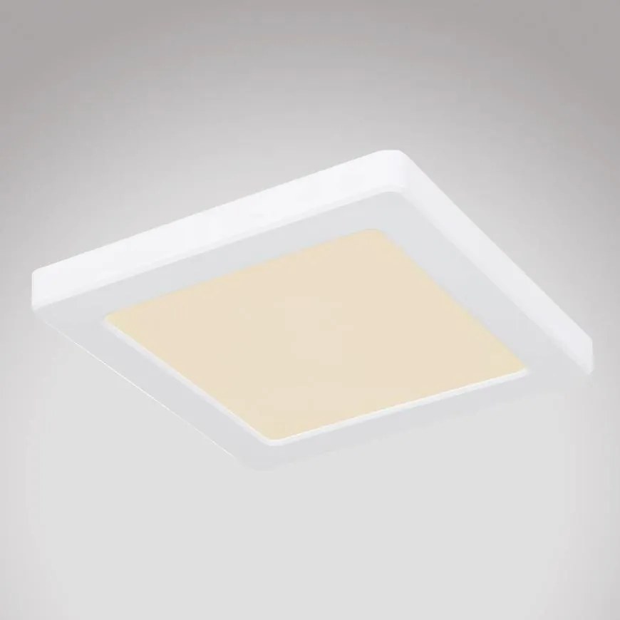 Stropnica 12380-12W LED 12W biely PL