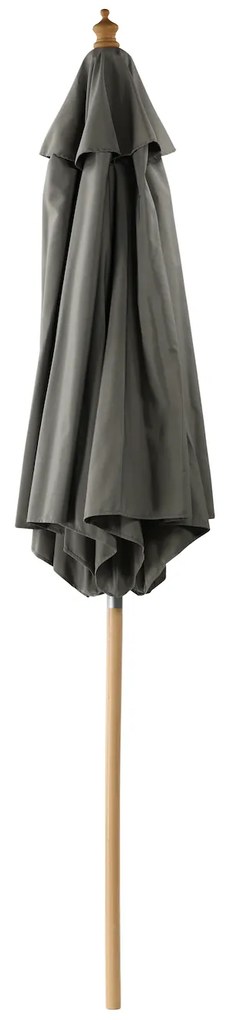 Corypho slnečník sivý 250 cm