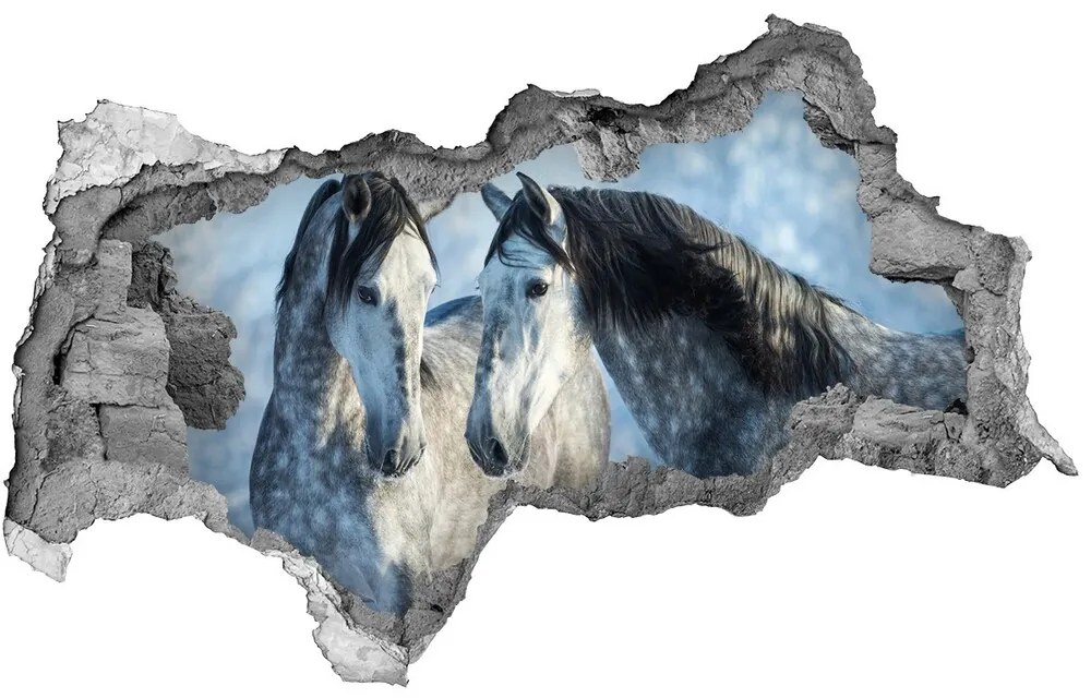 Diera 3D fototapeta nálepka Gray kone v zime nd-b-116887257