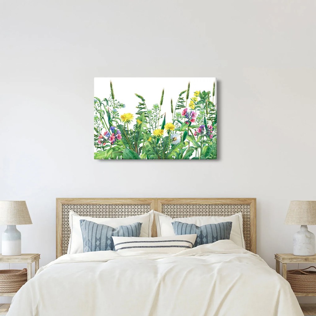 Obraz - Maľované lúčne kvety (90x60 cm)