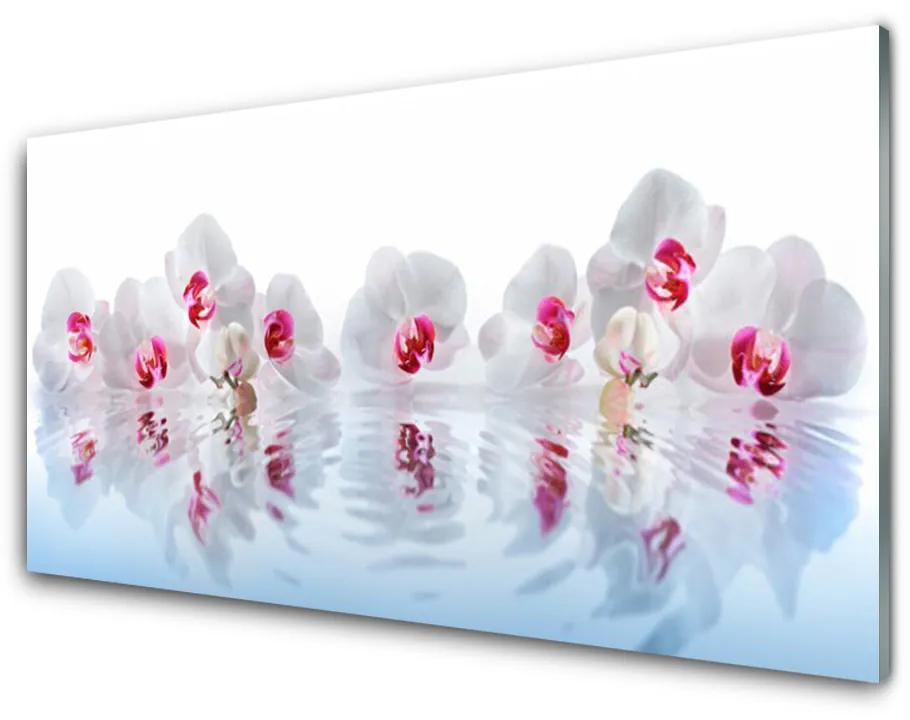 Obraz na akrylátovom skle Kvety rastlina príroda umenie 125x50 cm