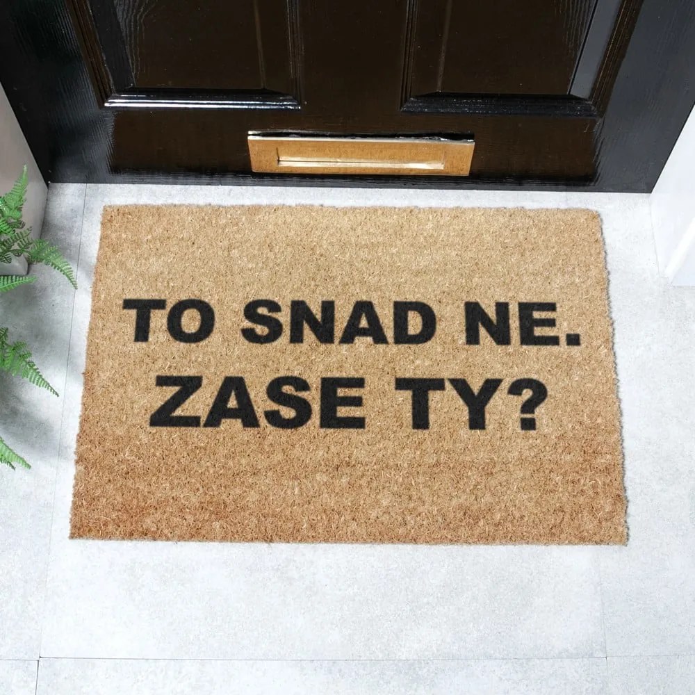 Rohožka z kokosového vlákna 40x60 cm Zase Ty? – Artsy Doormats