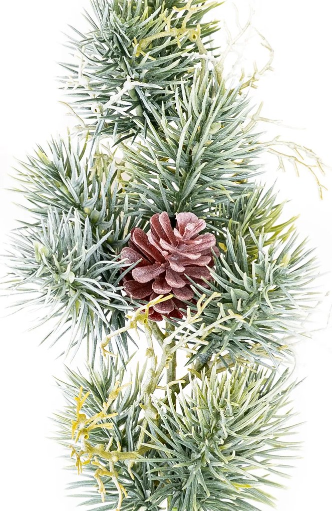 Vetvička srienistá borovica, 46 cm