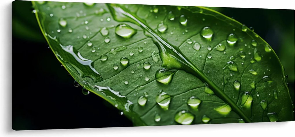 Obraz - List po daždi (120x50 cm)