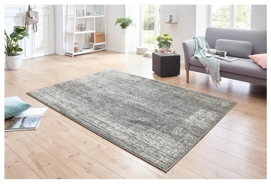 Sivý koberec Hanse Home Celebration Elysium, 120 x 170 cm