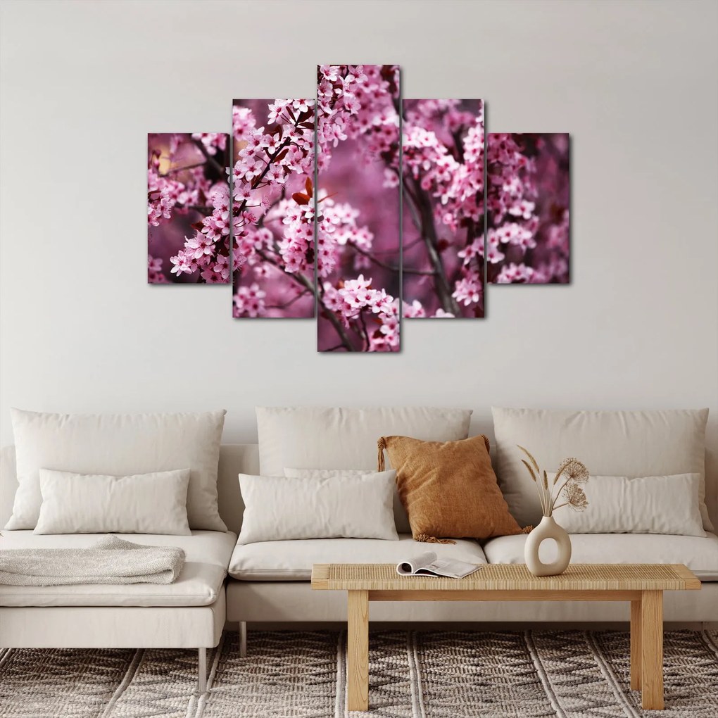 Obraz - Ružová sakura (150x105 cm)