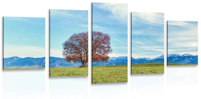 5-dielny obraz panoráma hôr Varianta: 100x50
