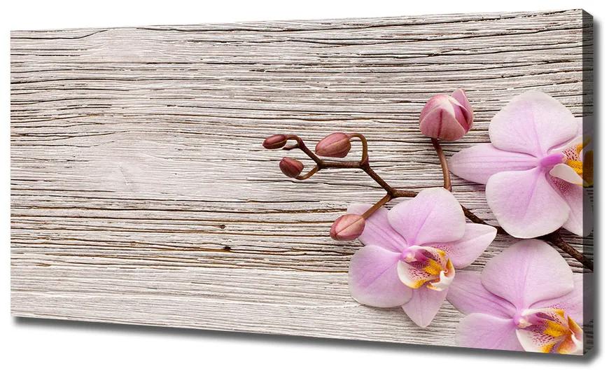 Moderné fotoobraz canvas na ráme Orchidea a na strome pl-oc-120x60-f-62495656