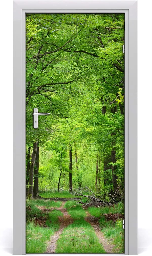 Fototapeta na dvere samolepiace  zelený les