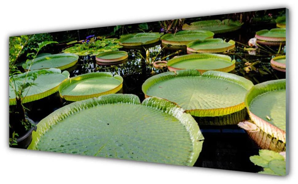 Obraz plexi Listy jazero príroda 125x50 cm