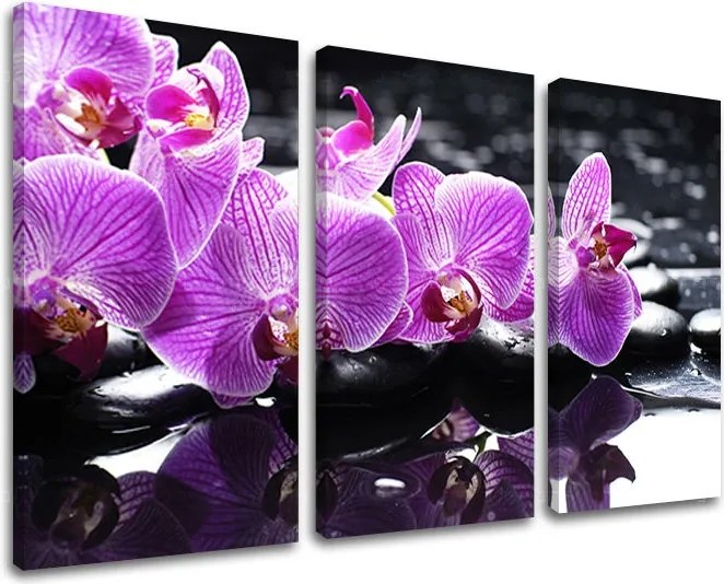 Obraz na stenu 3 dielny FENG SHUI FS024E30