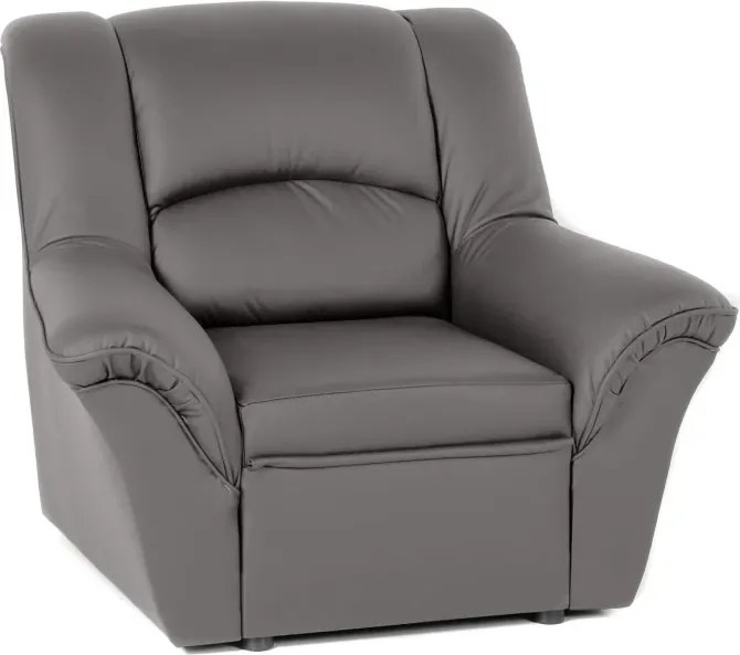 Kožené kreslo Dubaj LUX, šedá (U-25)