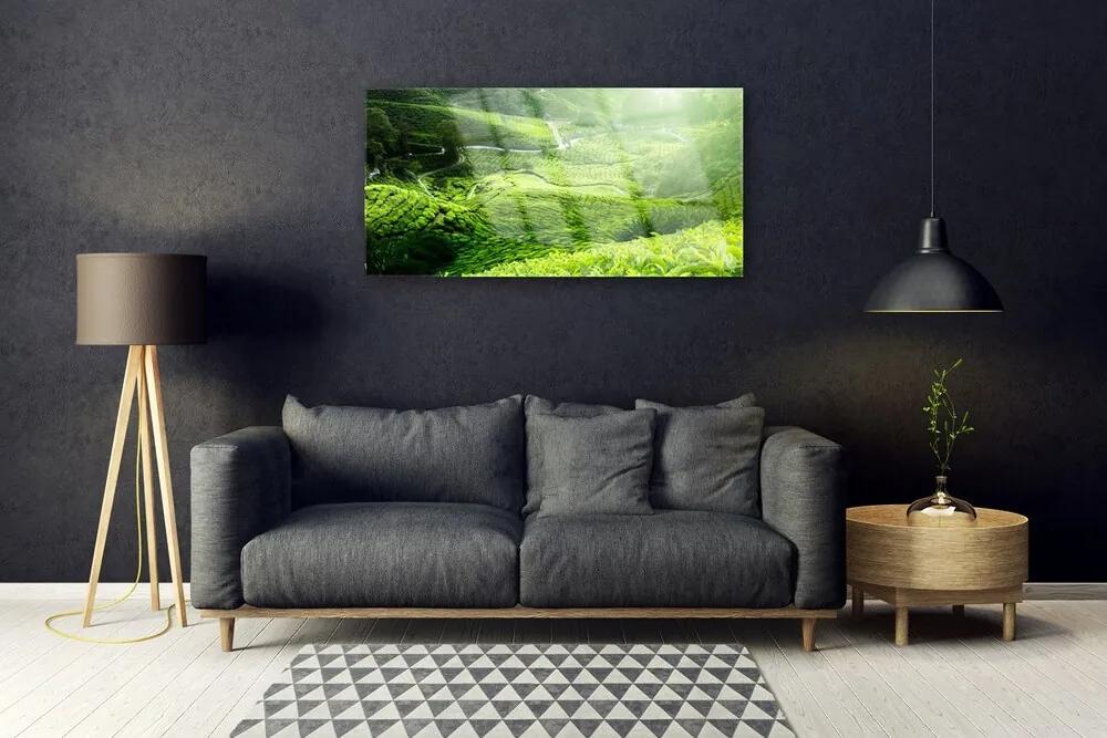 Obraz na skle Lúka príroda 120x60 cm