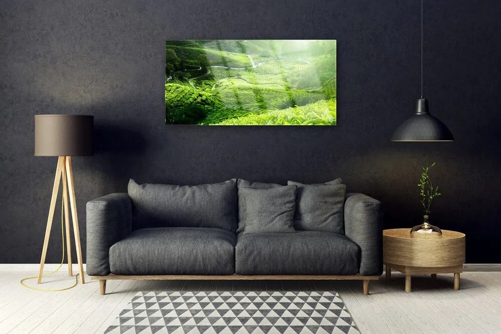 Obraz na skle Lúka príroda 125x50 cm