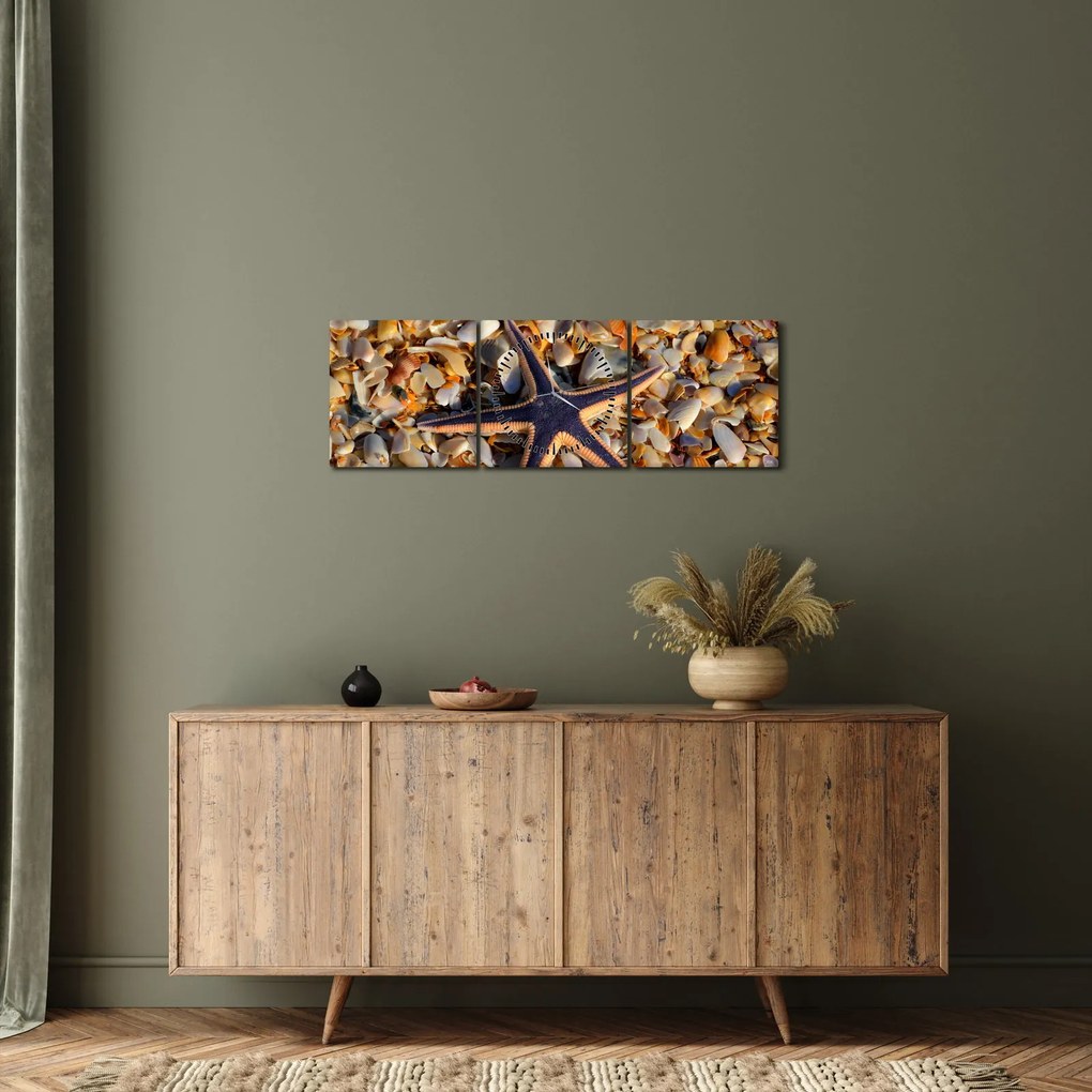 Obraz morskej hviezdice (s hodinami) (90x30 cm)