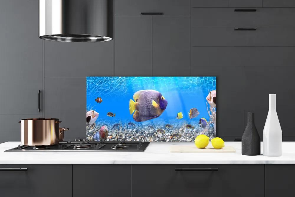 Nástenný panel  Ryba príroda 140x70 cm