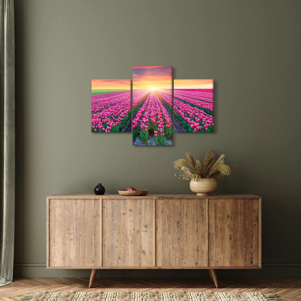 Obraz poľa tulipánov so slnkom (90x60 cm)